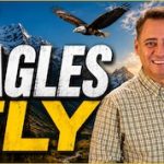 EAGLES FLY